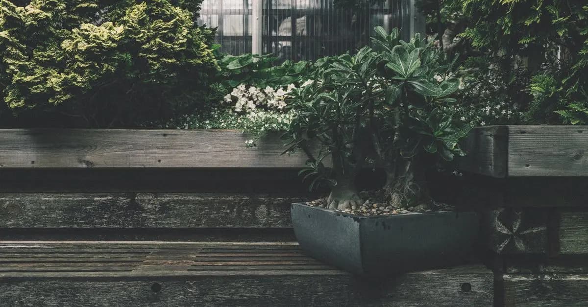 Comment créer un espace de relaxation en milieu urbain