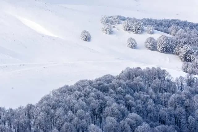 Comment intégrer la nature dans votre routine de relaxation