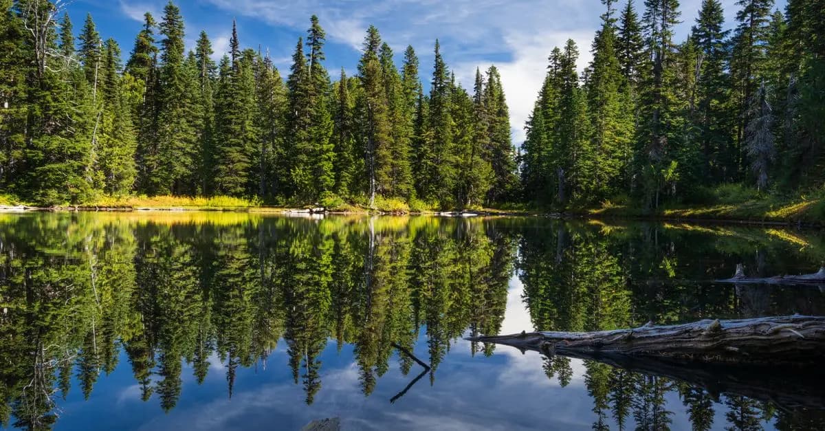 10 Techniques de Relaxation à Pratiquer à Tout Âge