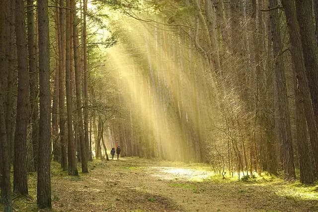 Relaxation et créativité : 7 techniques pour stimuler votre imagination