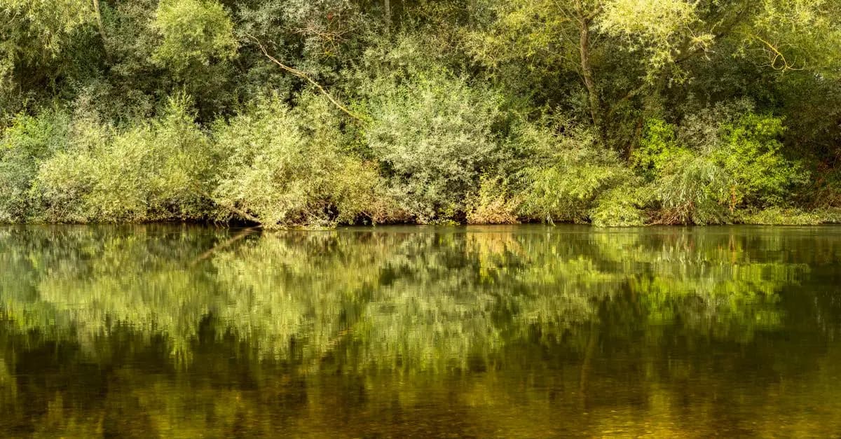 Les 7 meilleures techniques de relaxation accessibles à tous