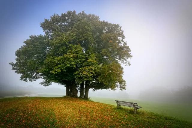 Les Techniques de Relaxation à Pratiquer Partout pour Tous
