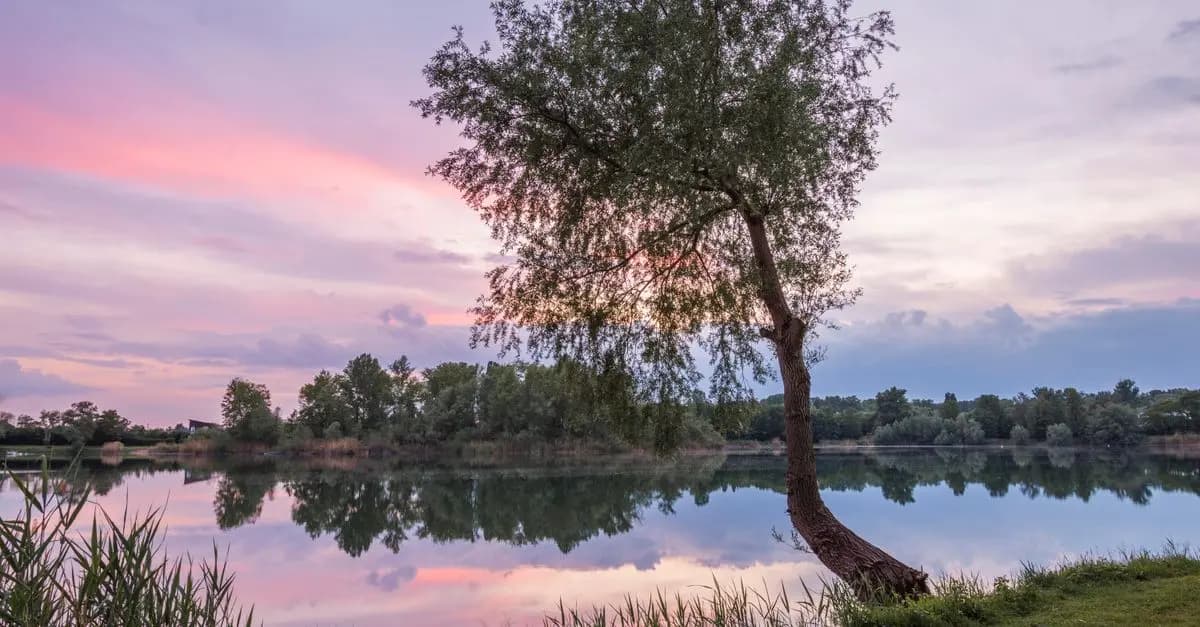 Les meilleures techniques de relaxation pour tous au quotidien
