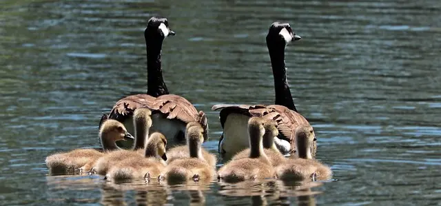 Comment pratiquer la relaxation en famille : 5 méthodes simples