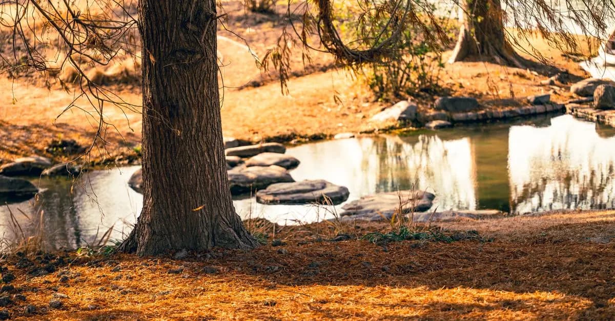 10 Pratiques Simples de Relaxation à Essayer Chaque Jour