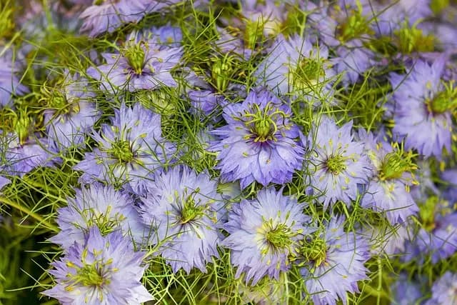Relaxation pour tous : 7 méthodes simples à essayer