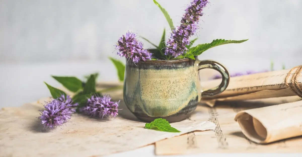 Comment la musique influence votre relaxation quotidienne