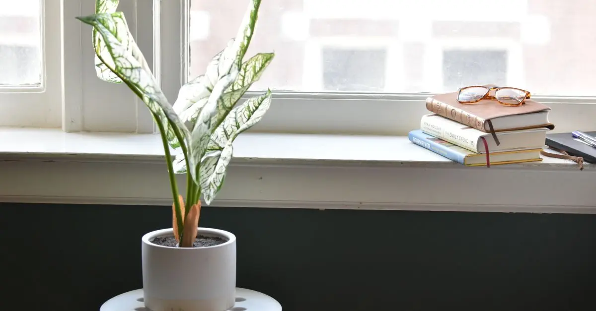 10 accessoires indispensables pour un coin relaxation chez soi