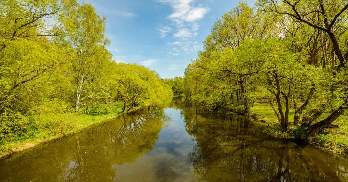 Comment la nature améliore votre relaxation au quotidien