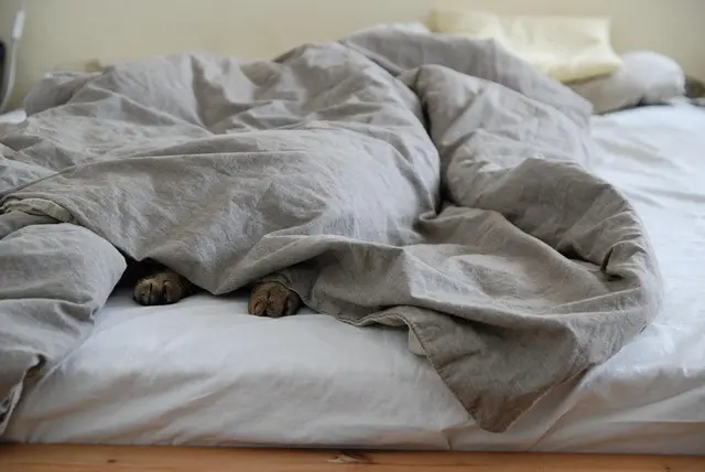 10 Activités de Relaxation Pour Tous à Essayer