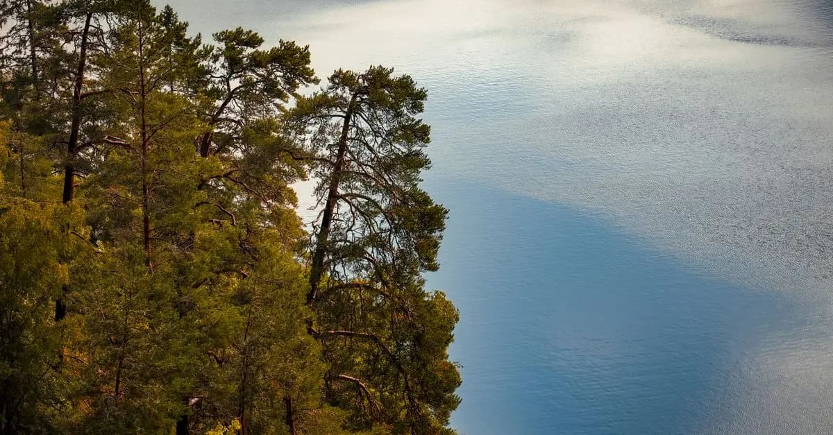 Comment la nature favorise votre relaxation au quotidien