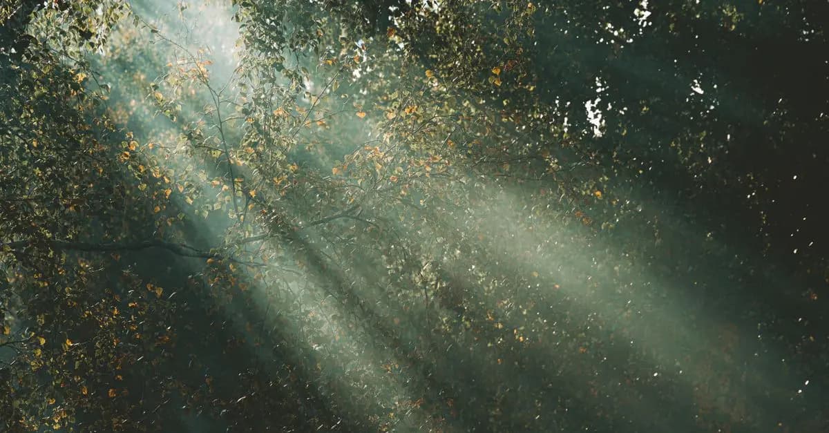 Les bienfaits de la nature sur la relaxation et le bien-être