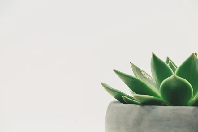 Comment Pratiquer la Relaxation Guidée pour Tous
