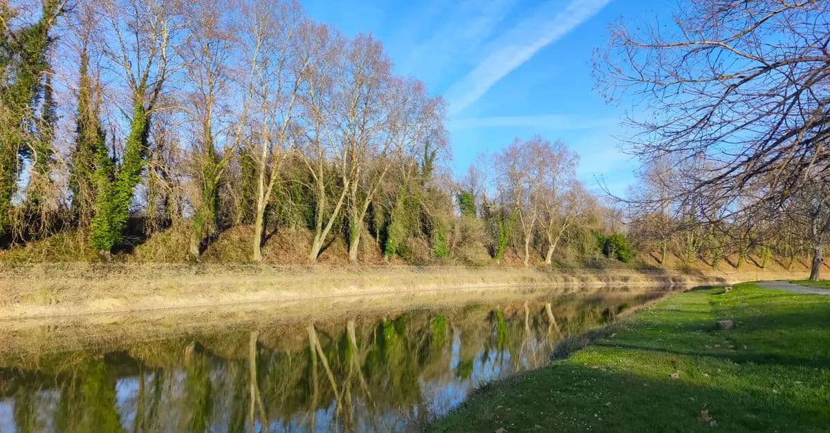 Comment pratiquer la relaxation en pleine nature pour tous