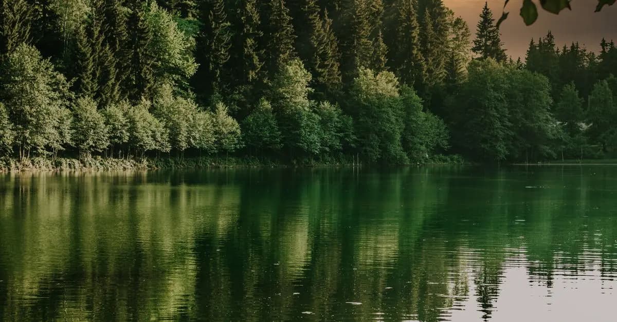 Les 10 meilleures techniques de relaxation à pratiquer chaque jour