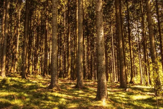 7 Pratiques de Relaxation Faciles à Intégrer au Quotidien