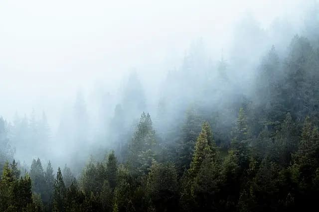Comment pratiquer la relaxation en pleine nature pour tous