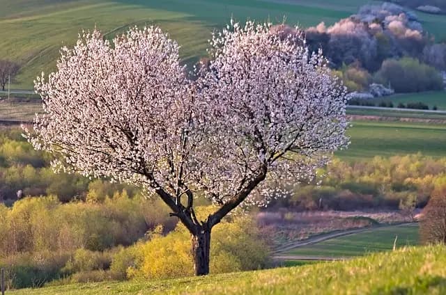 7 Techniques de Relaxation Efficaces à Essayer Chaque Jour