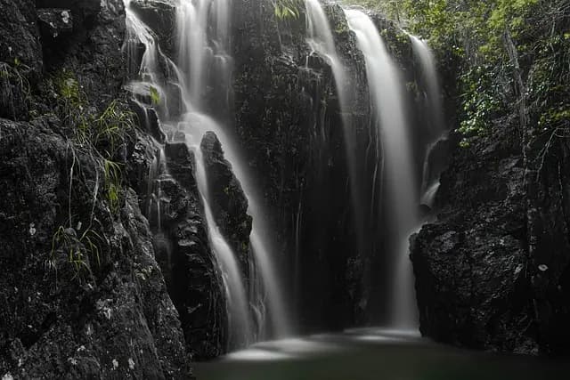 Comment la nature favorise votre relaxation et bien-être