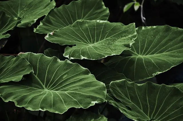 Les 7 Bienfaits Surprenants de la Relaxation Pour Tous