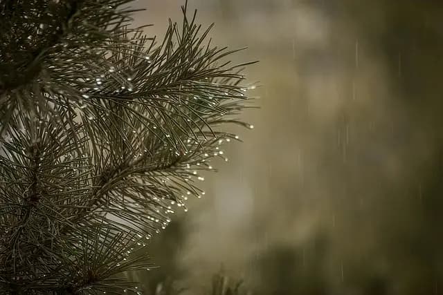 5 Techniques de Relaxation à Pratiquer au Quotidien