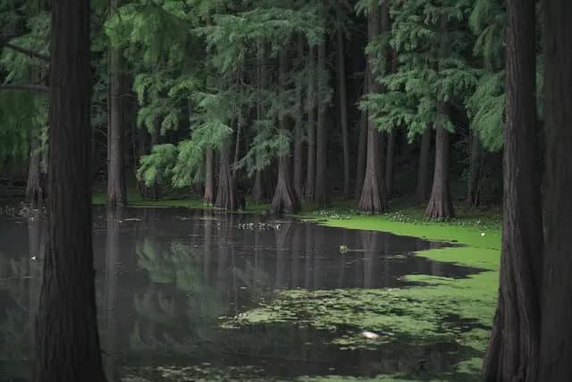 Les bienfaits du calme : pourquoi la relaxation est essentielle