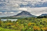 Pura Vida
