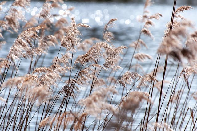 Comment intégrer la respiration consciente dans votre quotidien