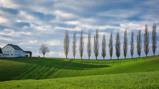 Les bienfaits de la relaxation pour le bien-être mental et physique