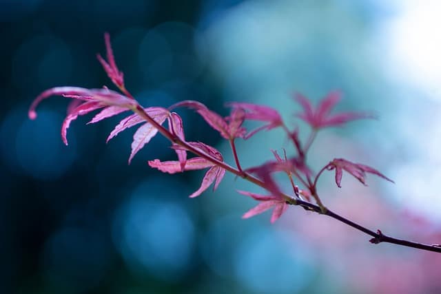 Comment intégrer la respiration consciente dans votre vie quotidienne