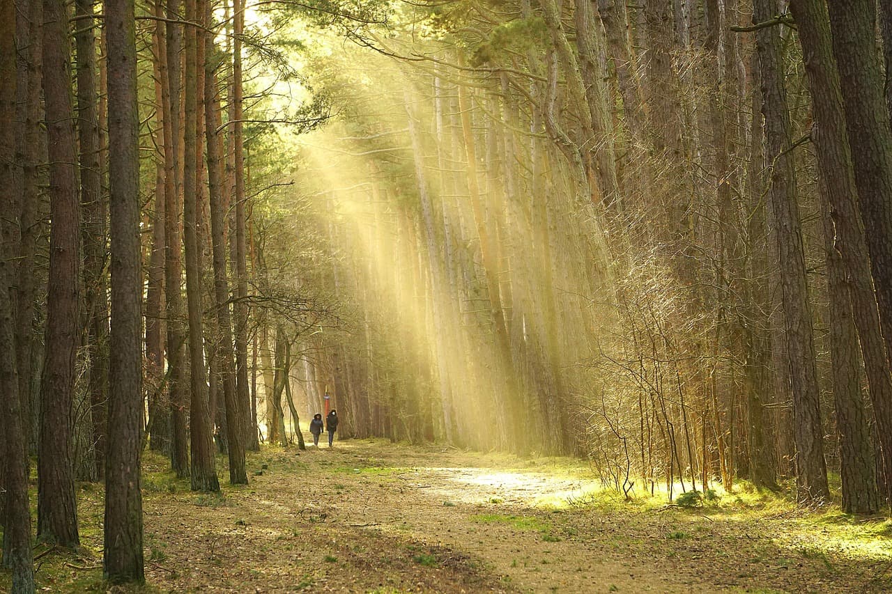 Techniques de relaxation pour tous : 5 méthodes simples à essayer