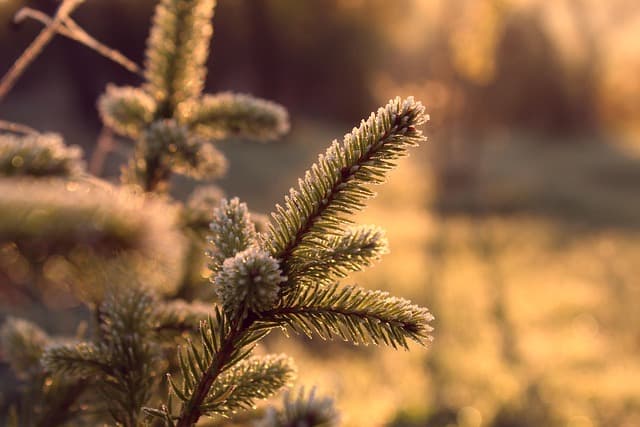 Les 10 meilleures pratiques de relaxation pour toute la famille