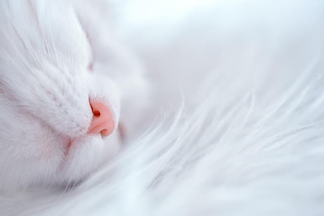 5 Techniques de Relaxation à Intégrer Facilement Dans Votre Vie