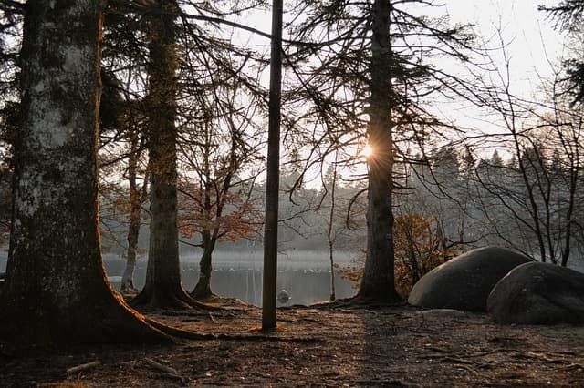 Les bienfaits de la nature sur votre relaxation